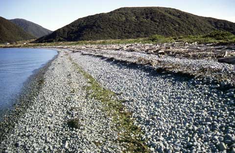 Waiorua Bay