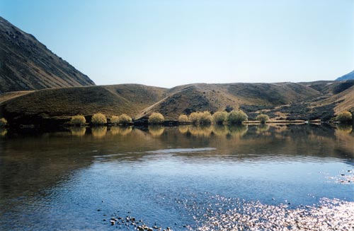 Lake Heron
