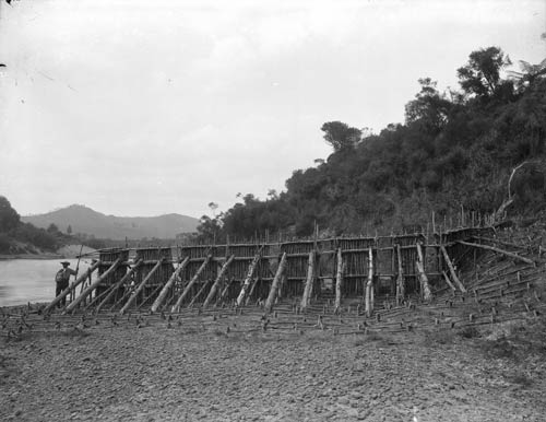 Lamprey weir