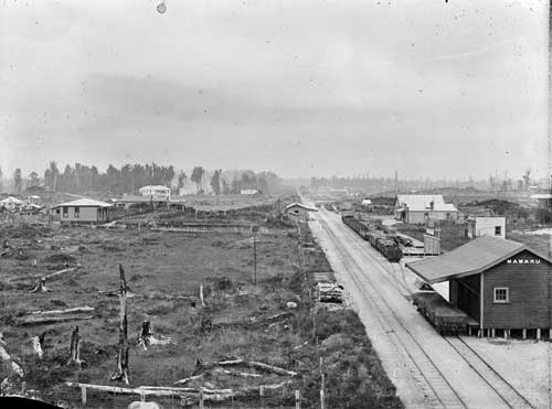Mamaku around 1916