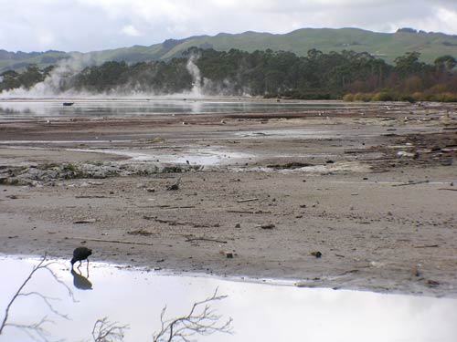Sulphur Flats