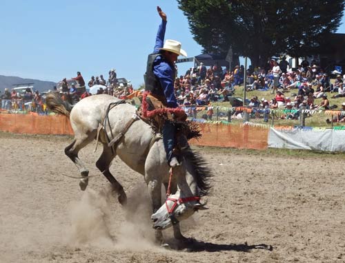 Rodeo at Rerewhakaaitu
