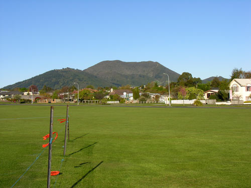 Tauhara