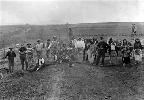 Planting Whakarewarewa Forest