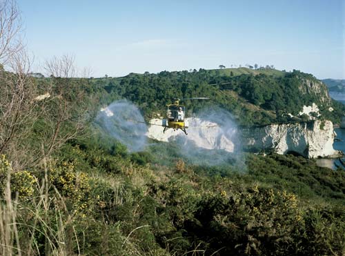 Spraying gorse