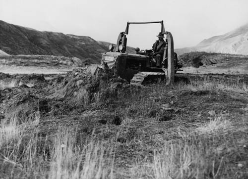 Bulldozing rabbit warrens 