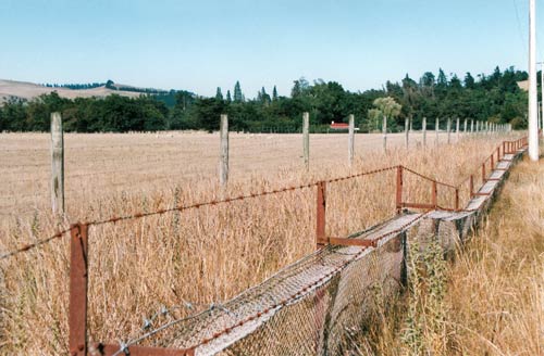 Rabbit fencing