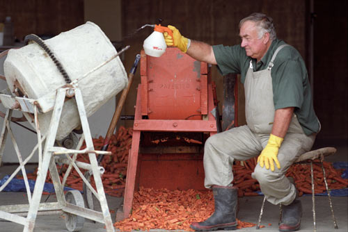 Spraying carrots with RHD