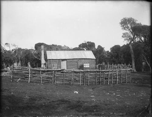 Timber fence, Chatham Islands 