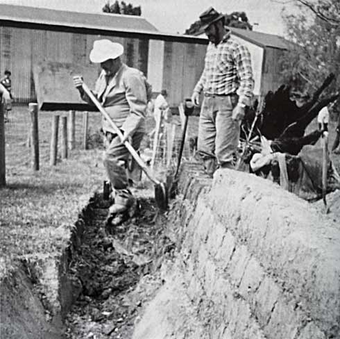 Building a sod wall