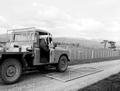 Straightening a gate 