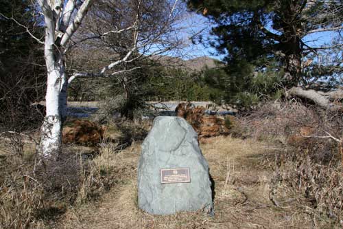 Plaque for boundary dogs