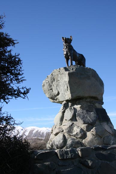Border collie statue
