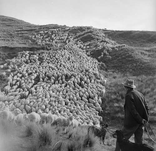 All in a day’s work
