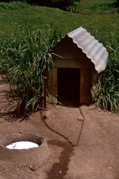 Kennel 