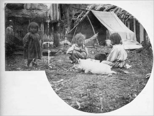 Children and pig