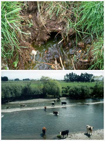 Sources of water
