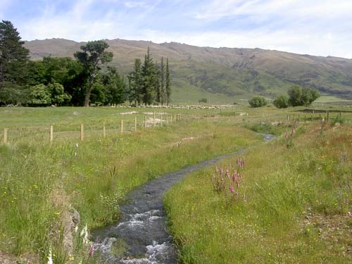Well-fenced stream 