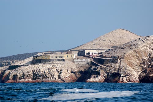 Guano 