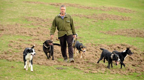 A man and his dogs