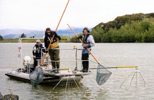Electric fishing 