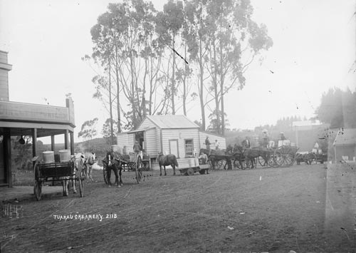 Tūākau creamery