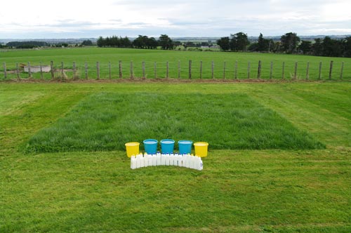 From grass to milk