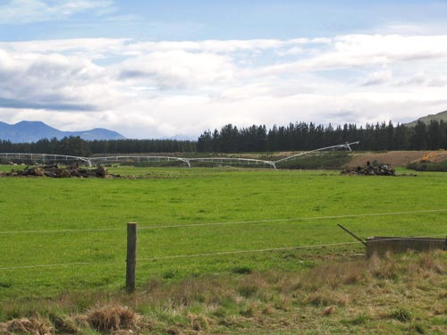 Irrigated Southland dairy pastures