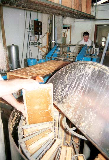 Extracting honey