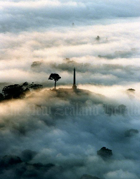 One Tree Hill