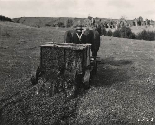 Spreading manure