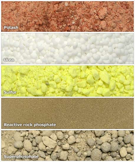 Fertilisers for plant growth