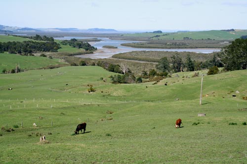 Kaipara inlets