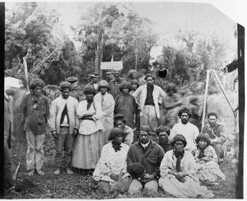 Picket at Pōkeno