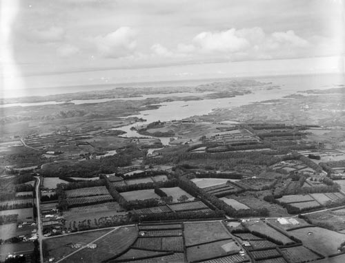 Citrus orchards, Kerikeri, 1947 