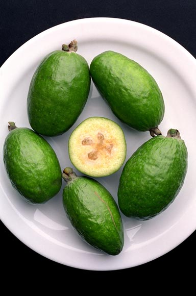 Feijoa fruit 