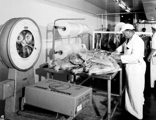 Feral deer carcasses, 1969