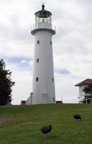 Tiritiri Matangi lighthouse