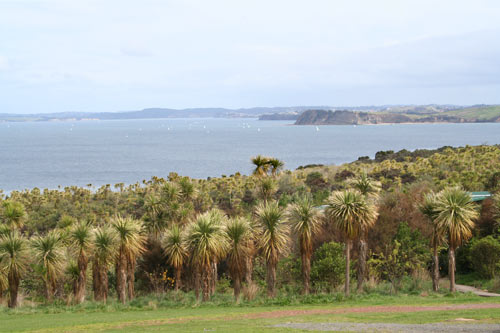Tiritiri Matangi sanctuary