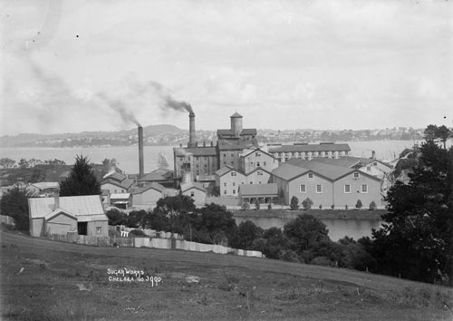 Sugar refinery