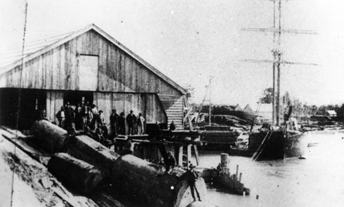 Helensville mill 