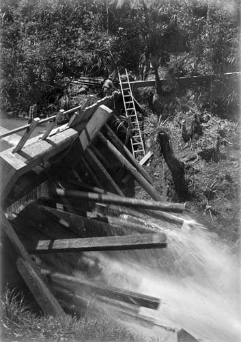 Kauri dam during tripping 