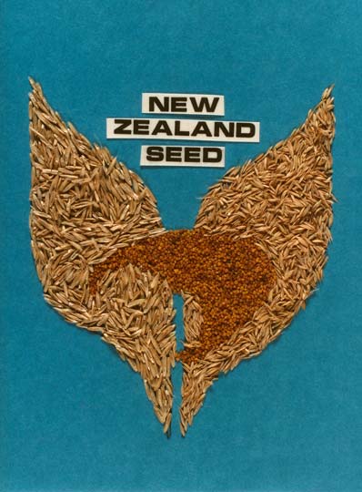 White clover and ryegrass seeds
