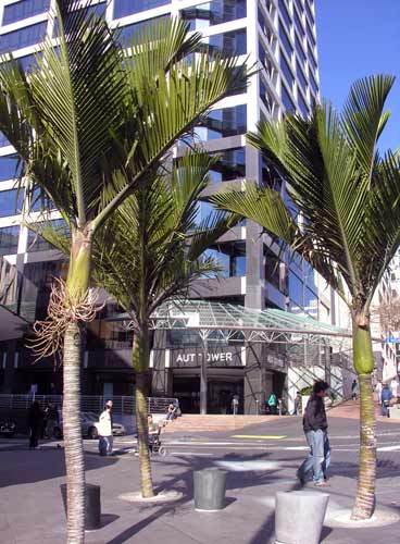 Queen Street makeover