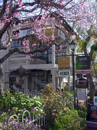 Parnell village