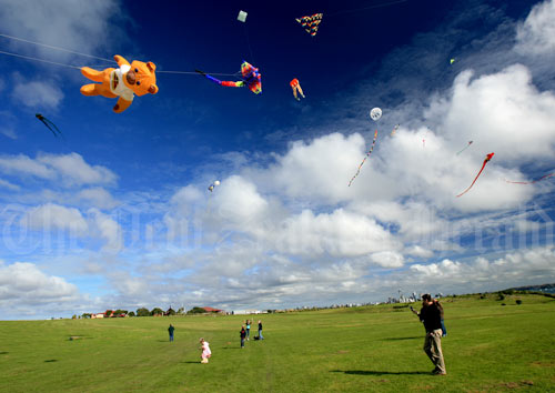 Kites over Bastion Point 