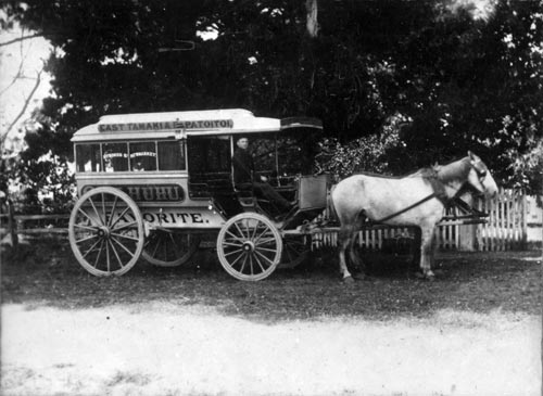 Papatoetoe bus