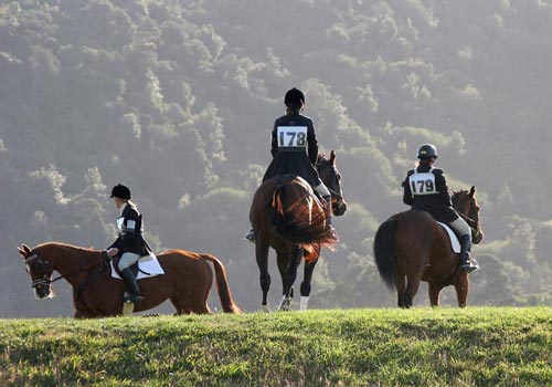 Horse trials, Clevedon