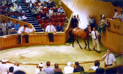 National yearling sales