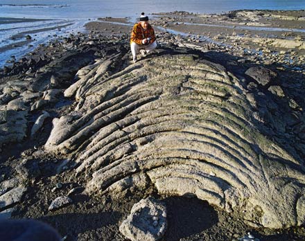 Lava flow